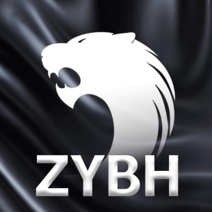 ZYBH�����؛朽�