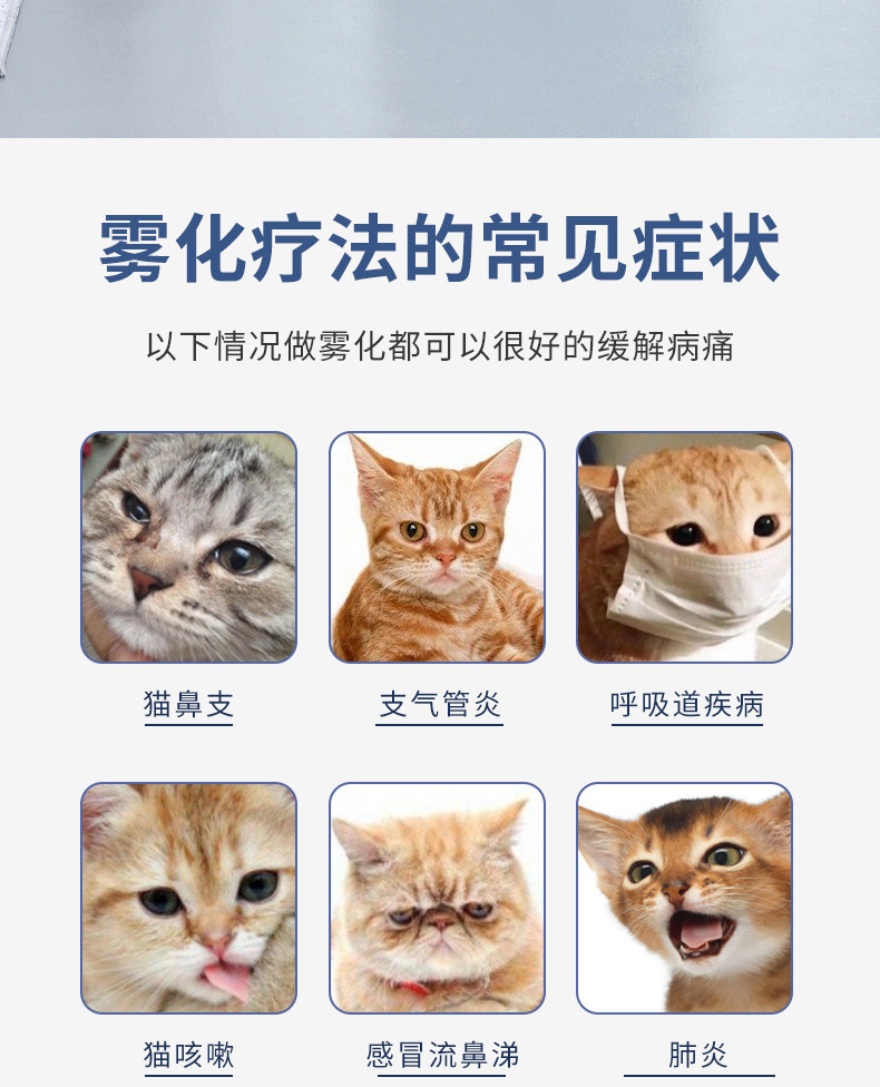 84ab792f-1758-4f3b-a904-7b2bdf35948e.jpe