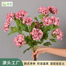 ���滨���^��ꖽ����zƬ����ƿ�[���Ҿ��҃Ȼ�c�������b���