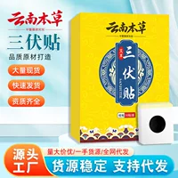 Один из поколений Yunnan Materia Medica Sanfute, летняя акупунктурная стимуляция, зимняя болезнь, летнее прижигание, полынь
