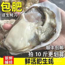 ����r��10���ش�ĵϠ���r������Ϡ��5����򺺣�rˮ�a