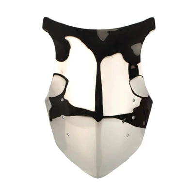 for Kawasaki Z1000Sx: Motorcycle front windshield - 06040010-silver-plated