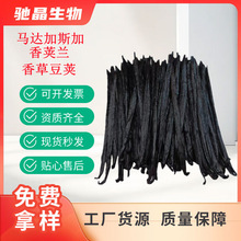 ����v �R�_��˹�� �����m�� �決����� ��Ϫ����ݶ��v