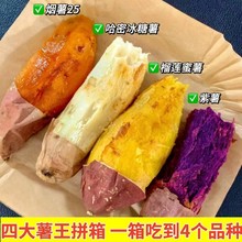 山东红薯四大薯王拼箱榴莲蜜薯哈蜜冰糖蜜薯烟薯25紫薯新鲜番薯