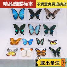 ������˱����xչ��W���ώ����˹��׃��@���նY��diy����