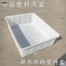 超大加厚牛筋塑料水箱耐酸鹼長方形水產養殖箱養龜箱泡瓷磚箱方桶