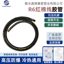 AzܛܶSAE100R6 ͉zܻ͹ܙC͹