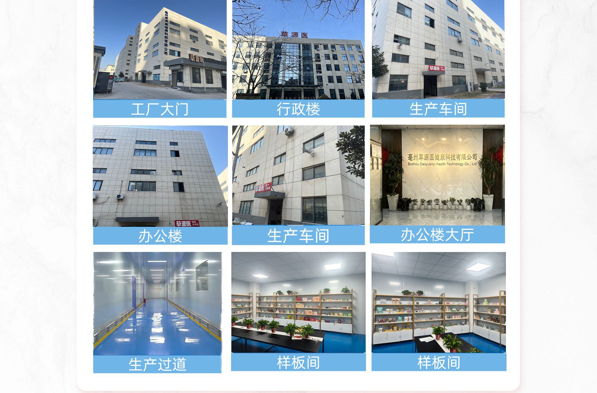 Seasonal Wellness Herbal Tea Bags Apple Plum Coix Blend 450g 30 Mini Jars overview