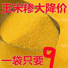 ���ײ�С�������������׼R�r�Ұ�������������״ּZ����s�Z���l