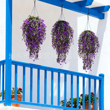 �S�����l�����ȼ���ɽ�軨�ٗl�ڒ젝���bҾӔ[���҃ȾGֲ