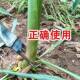 New Special Breaking Corn Ya Zi Artifact Agricultural Breaking Bun Ya Seedling Pinch Wrist Special Tool No Bending