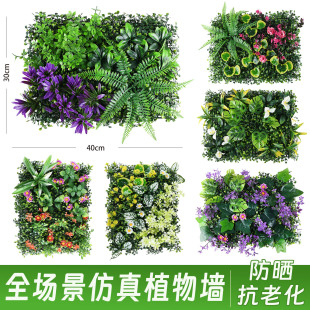 �羳���N 30cm*40cm����ֲ��Gֲ�����������b����쾰�ٻ���
