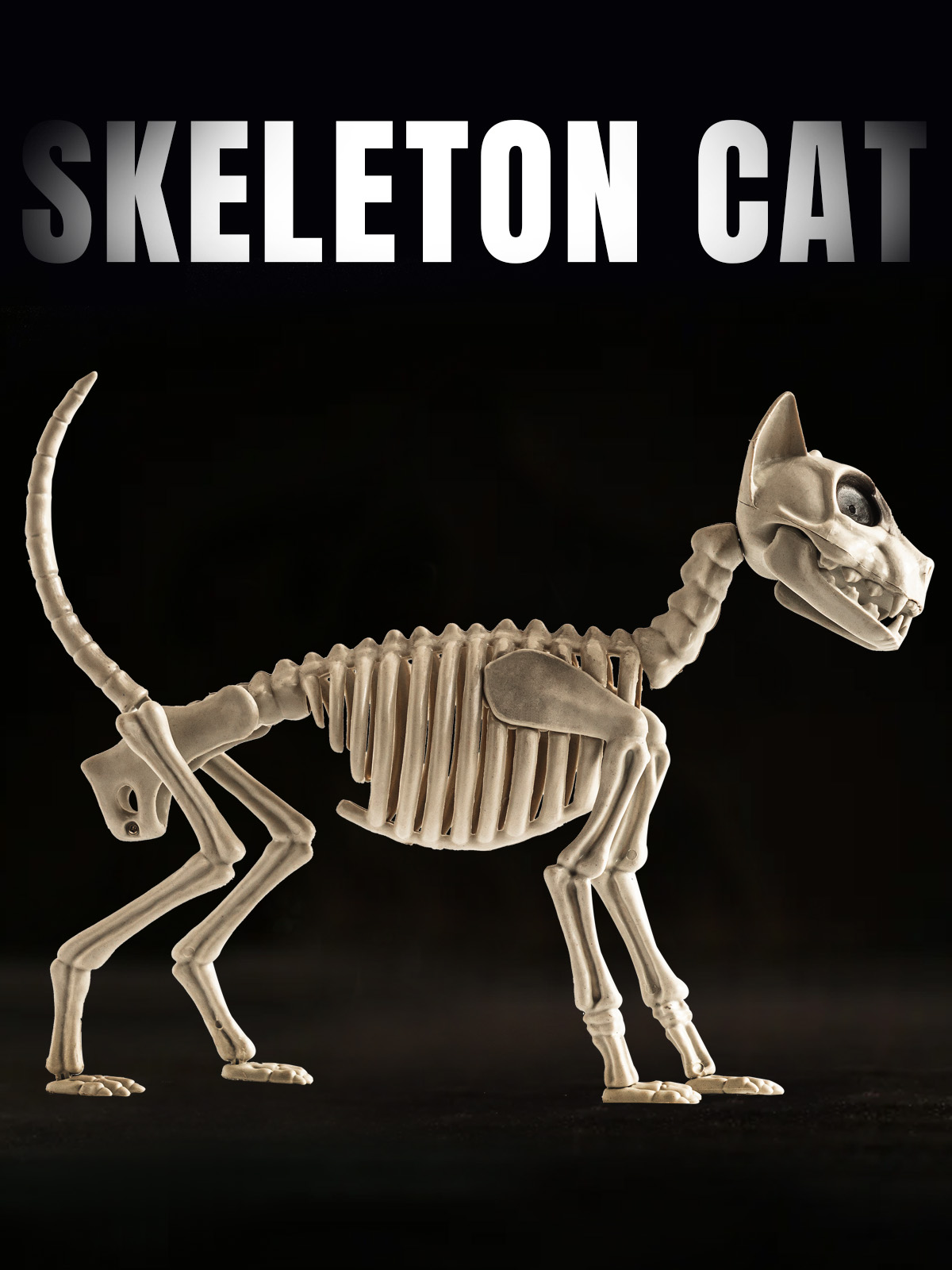 Halloween esqueleto de animales simulación gato y perro cuervo huesos accesorios adornos de terror decoración de la casa embrujada