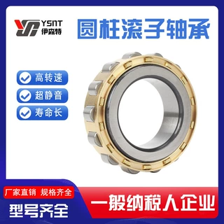 高质量圆柱滚子减速机挖掘机轴承RN204 205 260 207 219 222 228M