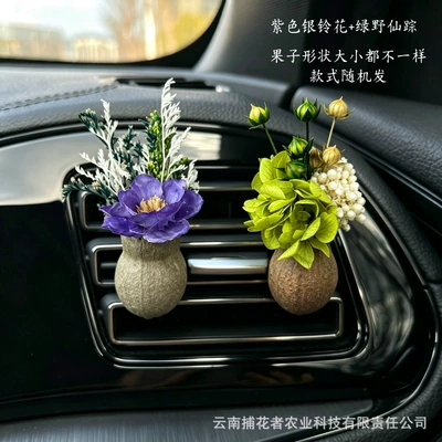 Car Perfume Aromatherapy | Fragrance - wizard-of-oz-purple-silver-bell-flower-gulu-fruit-car-style-free-essential-oil