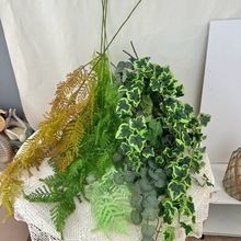 ܛzGֲڒع~ٻcɭϵGɫ픻ĻYb