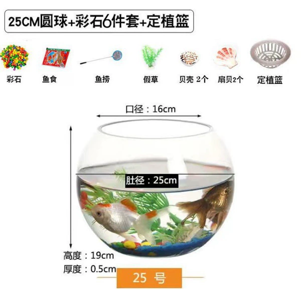 25 balls + 6 pieces set + planting basket ✦