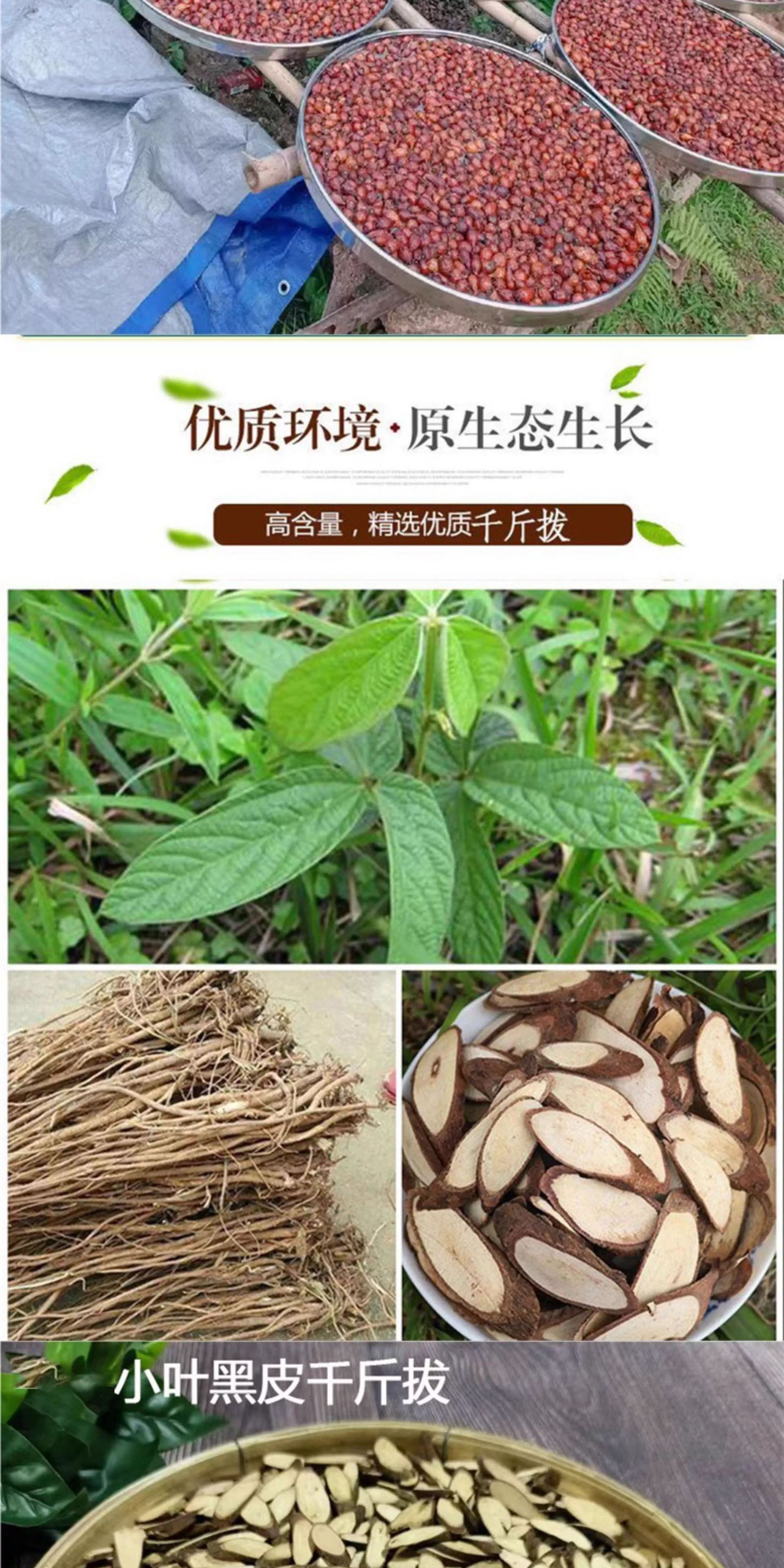 12-Herb Tonic Wine Soaking Blend Pao Jiu Liao 200g Traditional Chinese Herbal Mix for Men preparation