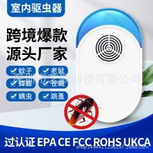 ��������������x�����������������x�����S��羳����