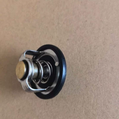 Thermostat Chevrolet Daewoo Thermostat