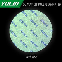 �i�ߙM�и�У�t�WԺУ�ýM������ʯϞ��Ƭ�˱��@΢�R