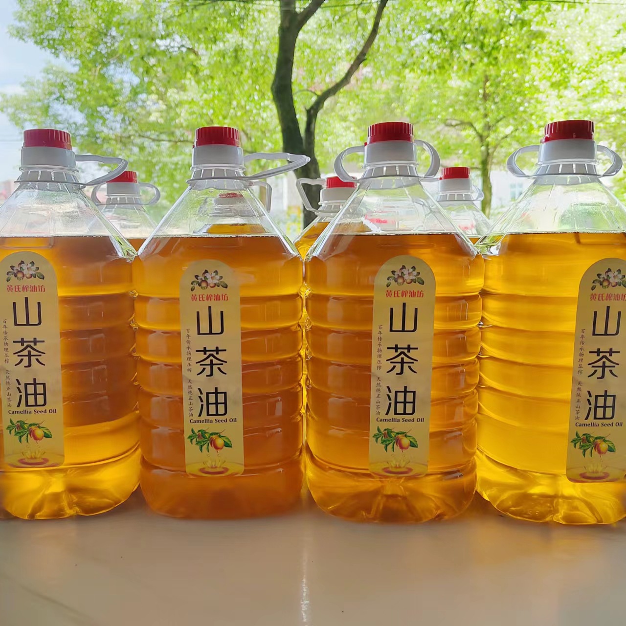 特产地茶籽批发江西高山茶油压榨木本油料天然油茶籽油干油茶籽仁