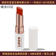 源头工厂跨境专供厂家直售中性包装防水防汗不掉色Matte哑光口红
