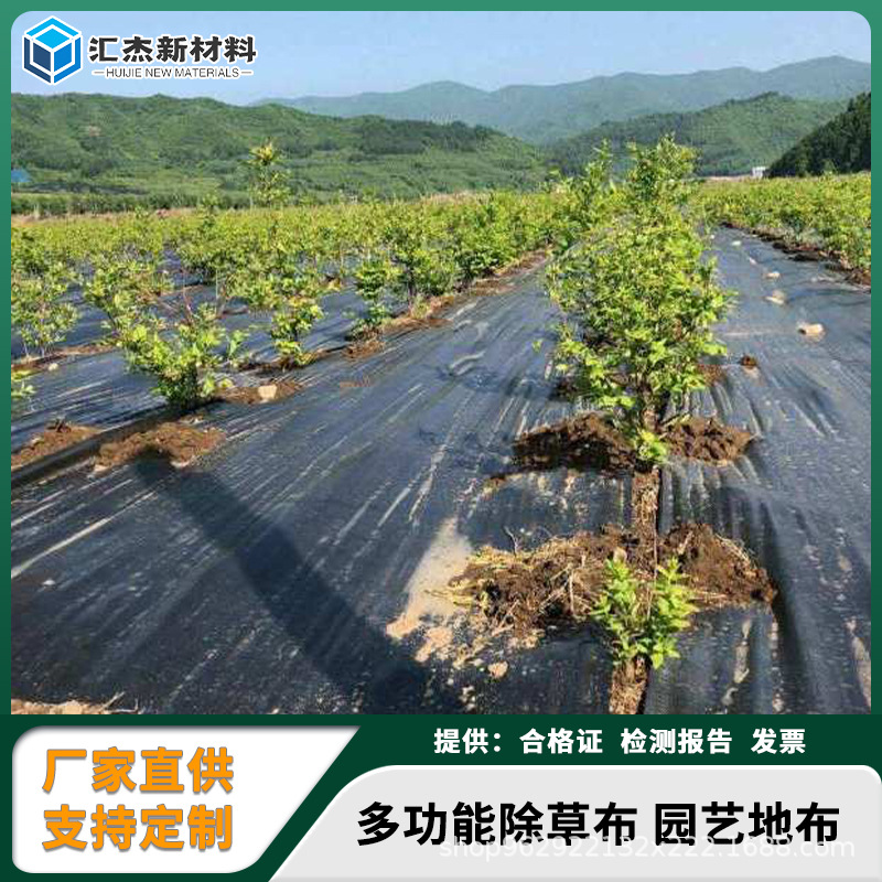 黑色切片打孔编织布透气PE除草布渗水防草布除草布农用大棚防草布