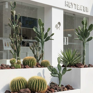 仿真绿植莱昂仙人掌盆栽服装店铺橱窗落地热带植物造景装饰小盆景