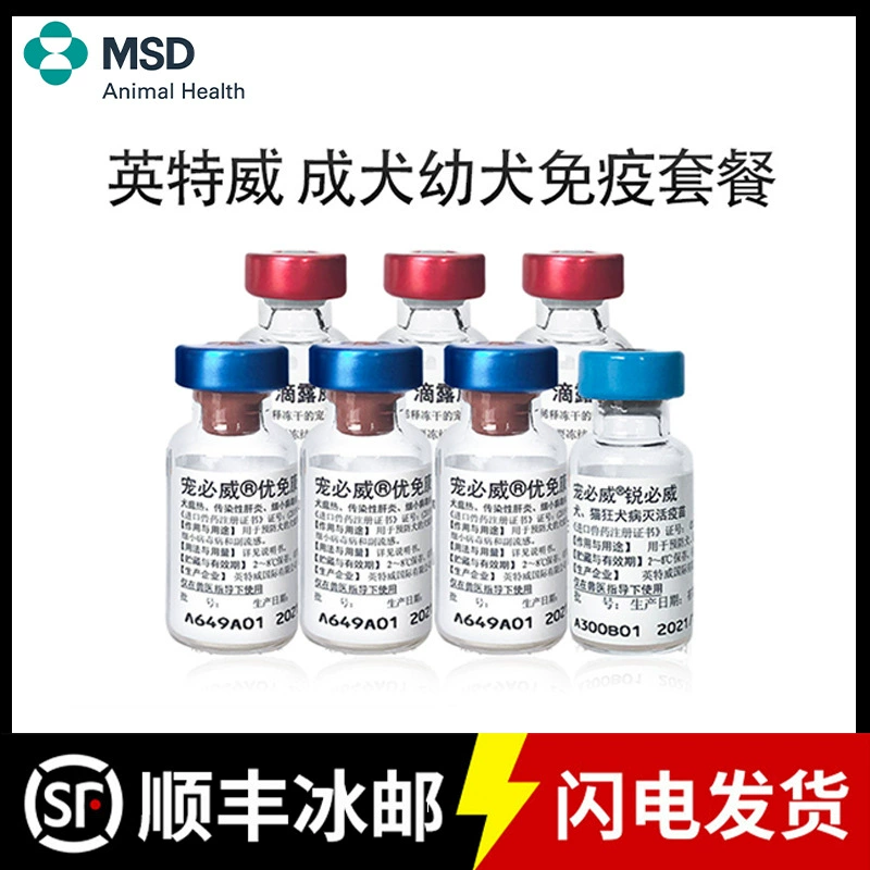 INTWEI импортная вакцина для собак Четырехместный шесть щенков Улучшенная вакцина против бешенства костюм крюк конец вакцины