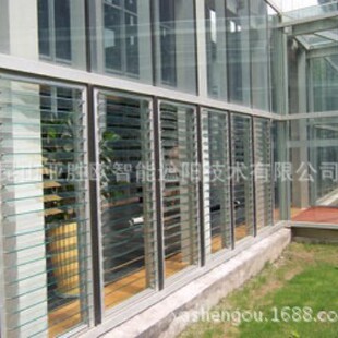 Supply electric glass blinds professional production quality assurance