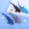 Realistic shark, color