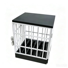 汽车清洁工具;玻璃清洁器;抹泥板