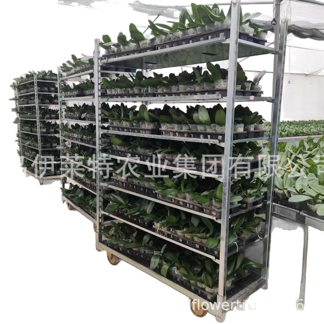 厂家直销多层金属可拆卸拉板网花卉台车 周转多层花车  运输车