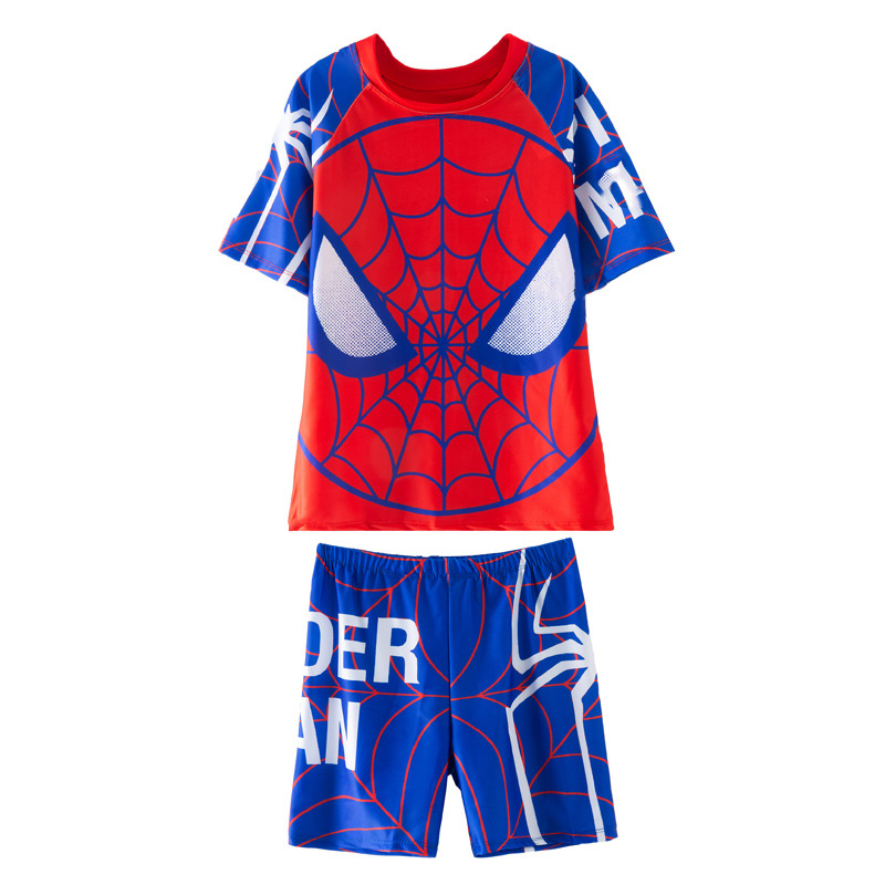 18분할 스파이더