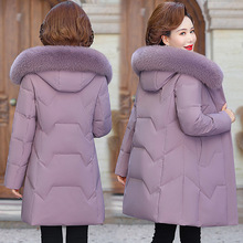 Ʒ�Ƌ�����q��Ů���b���������L�ů������ë�IŮ��Ӻ�����