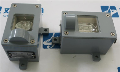 EGONHARIG紫外线火焰探测器 FL/SS7510/35MIL