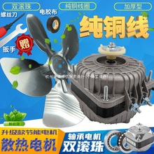 ~ ɢLC늙C֘O늄әCL늙C