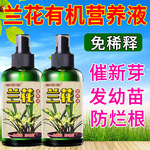 兰花专用营养液烂根空根茎生根催芽催花液体肥免稀释专用爆芽剂