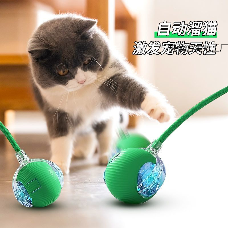 智能逗猫球自动遛狗逗猫玩具宠物解闷滚滚逗狗电动神器猫咪跳球