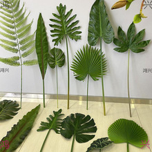 ~ɫֲ廨G~ָп~~ӻc٘滨