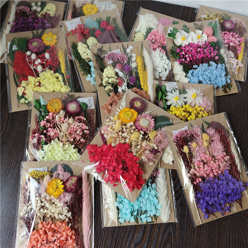 A5 Pressed Flower Material Kit DIY Aroma Candle Photo Frame Dried Flowers Perennial Flowers Fan Floating Flowers Kindergarten Craft