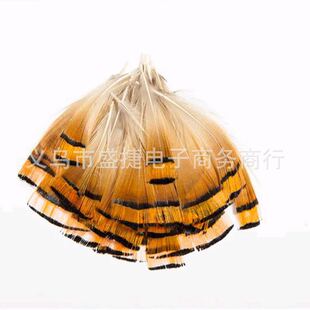 �x���S��ֱ�N���|��Ȼ4-7cm�\�u�^ƬС��ë ��ë���l
