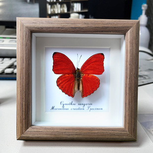 ~Ѫ��͐��������˱��b쮋���x�P���[����ľ������|�ۂ���