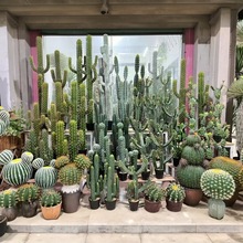 ����Gֲ ������������ ������������ ���ֲ�� �҃ș����辰�[��