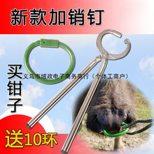 牛鼻环牛鼻圈牛鼻钳子牵引扣牛用养殖安装钳打孔器械穿孔牛鼻钳子