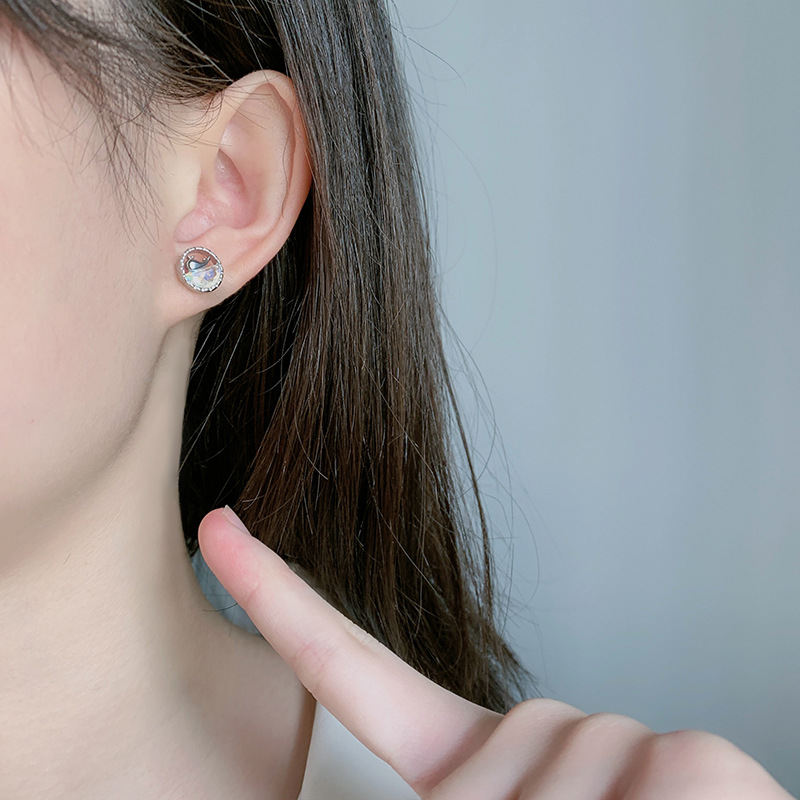 Simple Style Whale Copper Plating Ear Studs 1 Pair