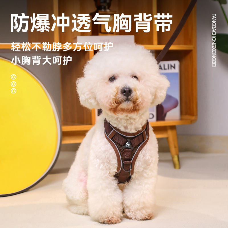 狗狗牵引绳 背心式胸背带猫狗通用小型犬遛狗绳防挣脱宠物牵引绳|undefined
