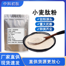 小麦肽粉小麦低聚肽食品级 小分子活性肽 植物蛋白肽原料厂家现货