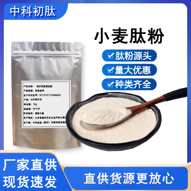 小麦肽小麦低聚肽原料源头工厂 活性小分子肽 小麦蛋白肽现货供应